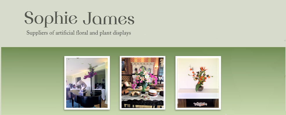 Sophie James Logo