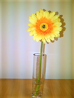 Bud Vase