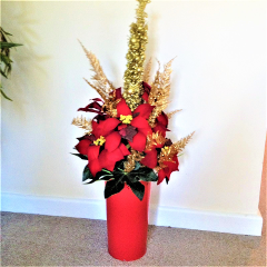 Festive Display
