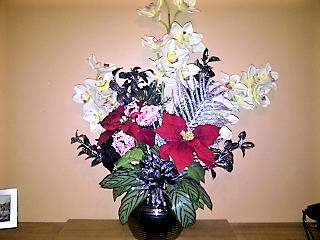 Festive Display
