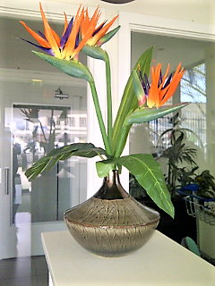 Floral Art