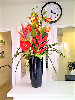Large Display