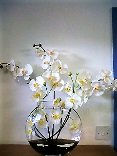 Medium Display