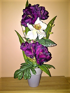 Medium Display
