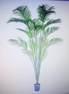 Trees and Plants