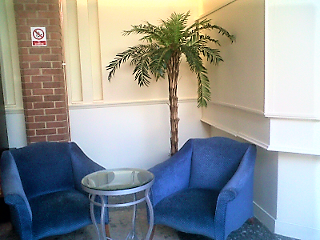 Trees and Plants