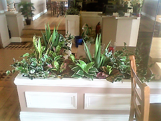 Trees and Plants